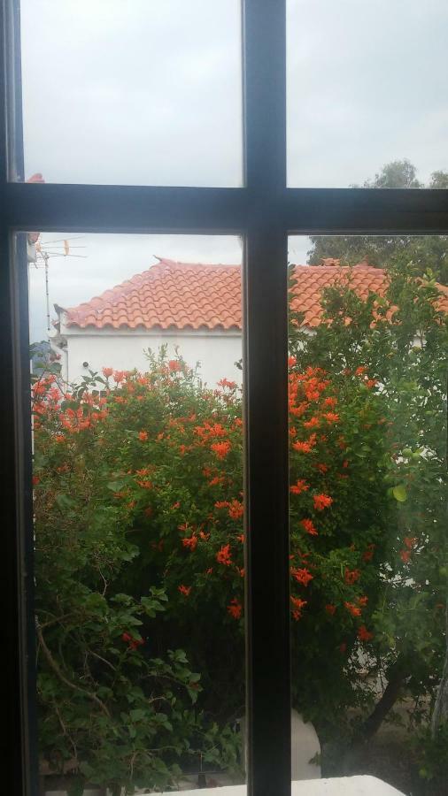 הוילה Velanidia Window To The Aegean מראה חיצוני תמונה