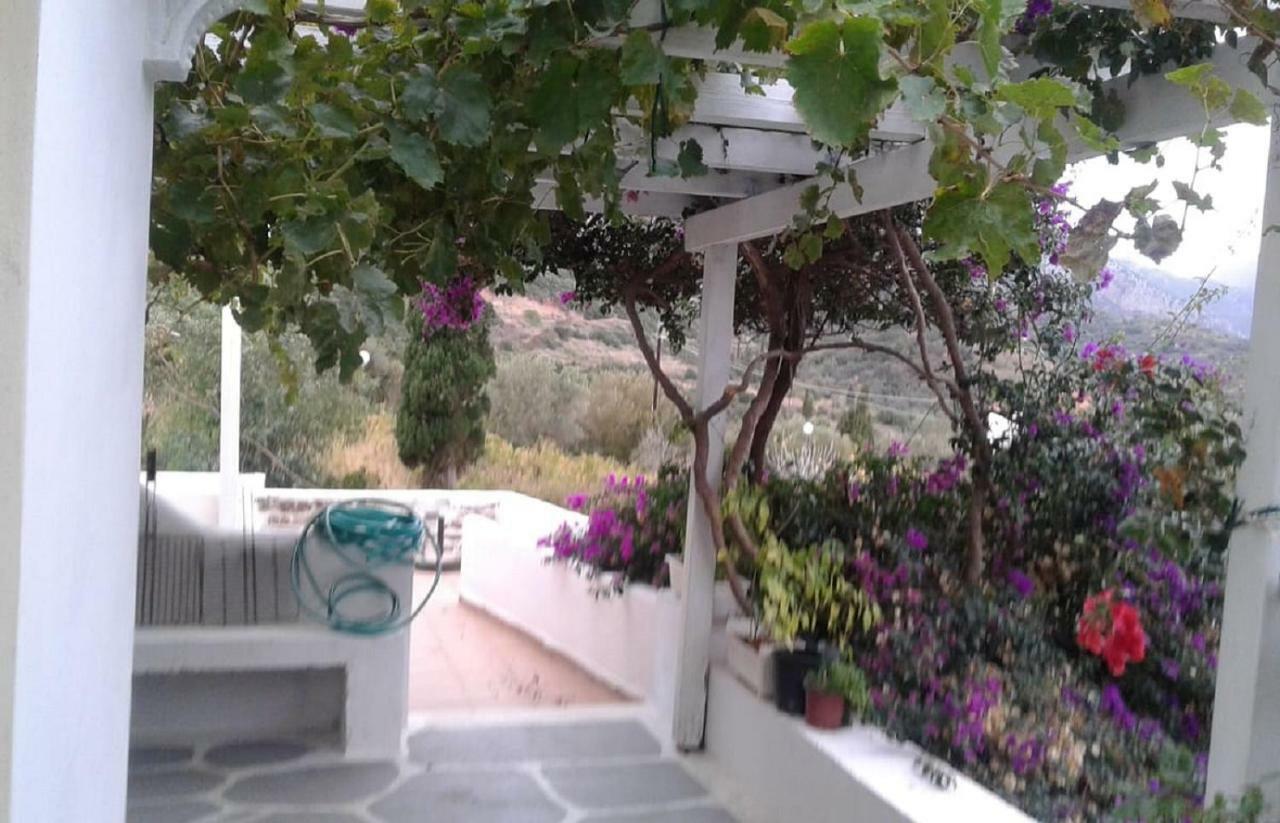 הוילה Velanidia Window To The Aegean מראה חיצוני תמונה
